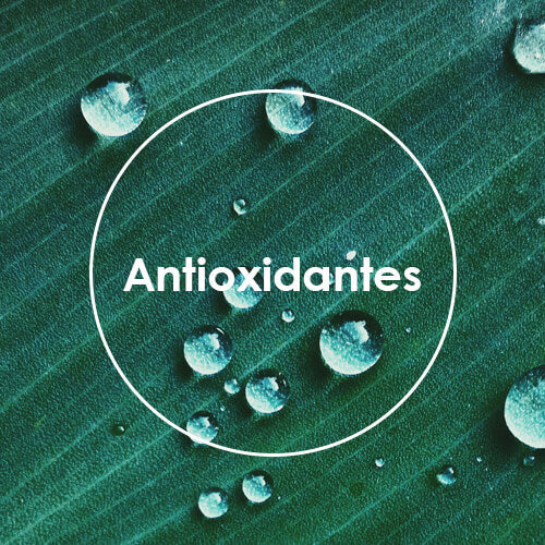 Antioxidantes
