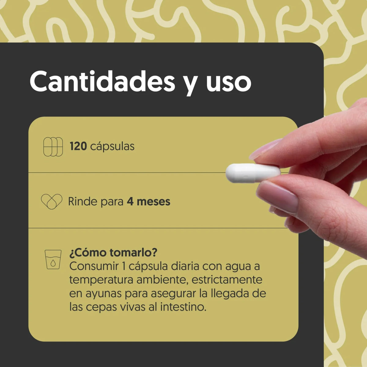 Probióticos, Prebióticos & Aloe 120 Cápsulas
