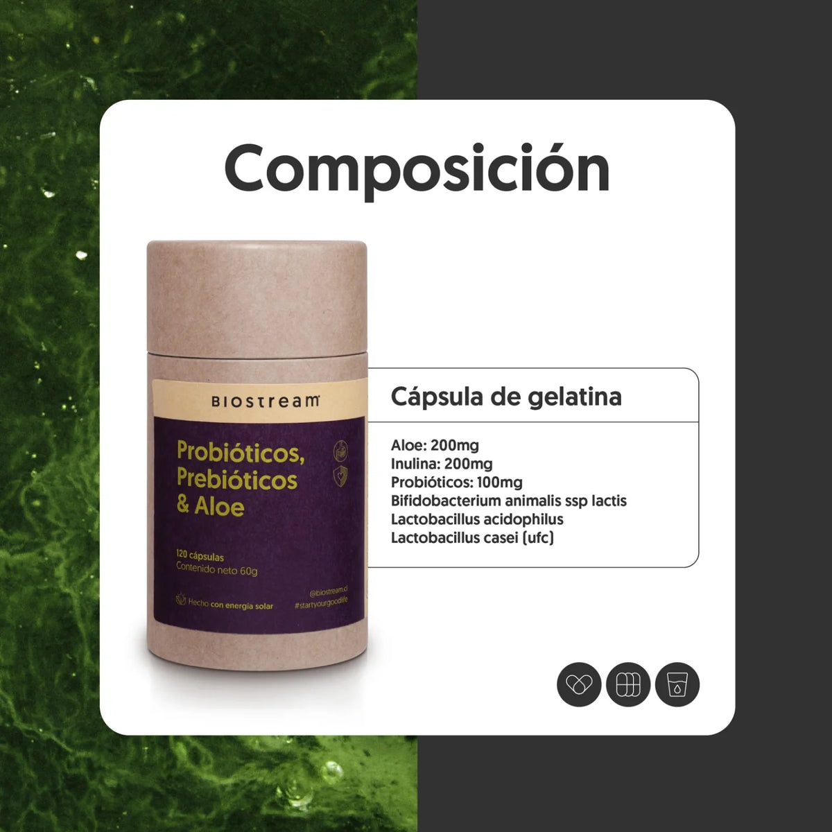 Probióticos, Prebióticos & Aloe 120 Cápsulas
