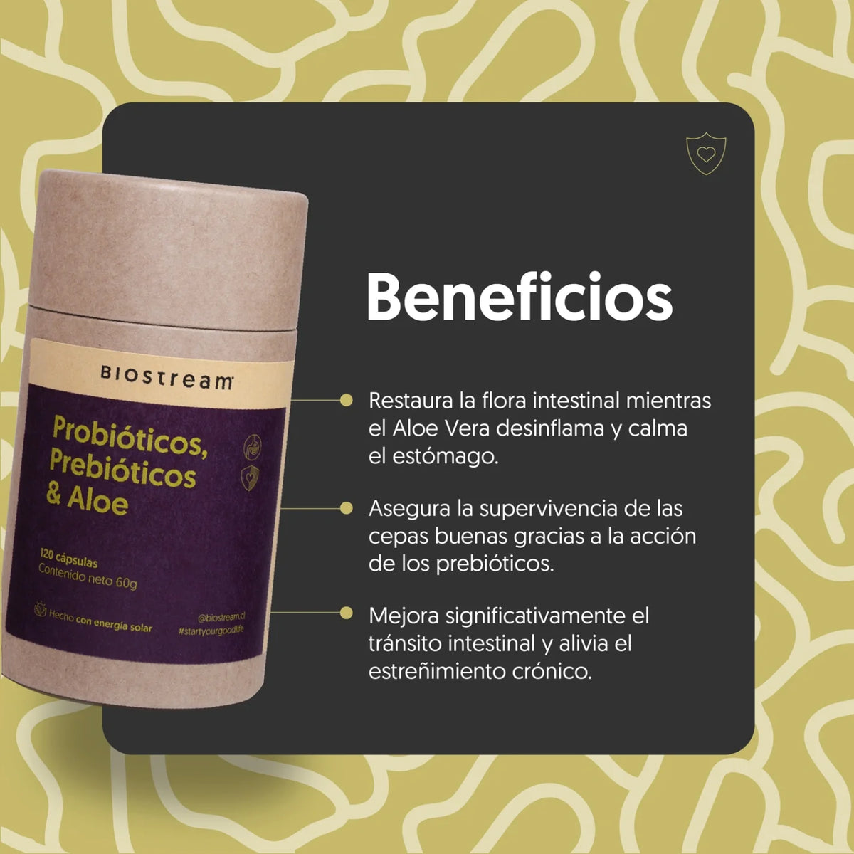 Probióticos, Prebióticos & Aloe 120 Cápsulas